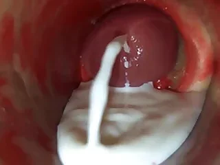 Sex Gay Porn 18