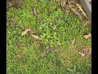 Unexcelled outdoor piss